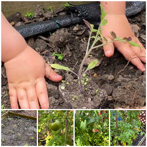 Garden Learning 